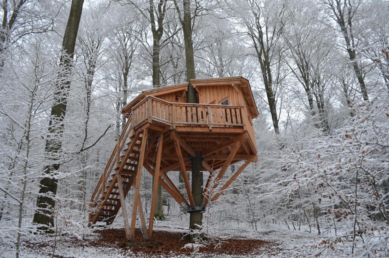 Baumhaushotel Solling Uslar Esterno foto
