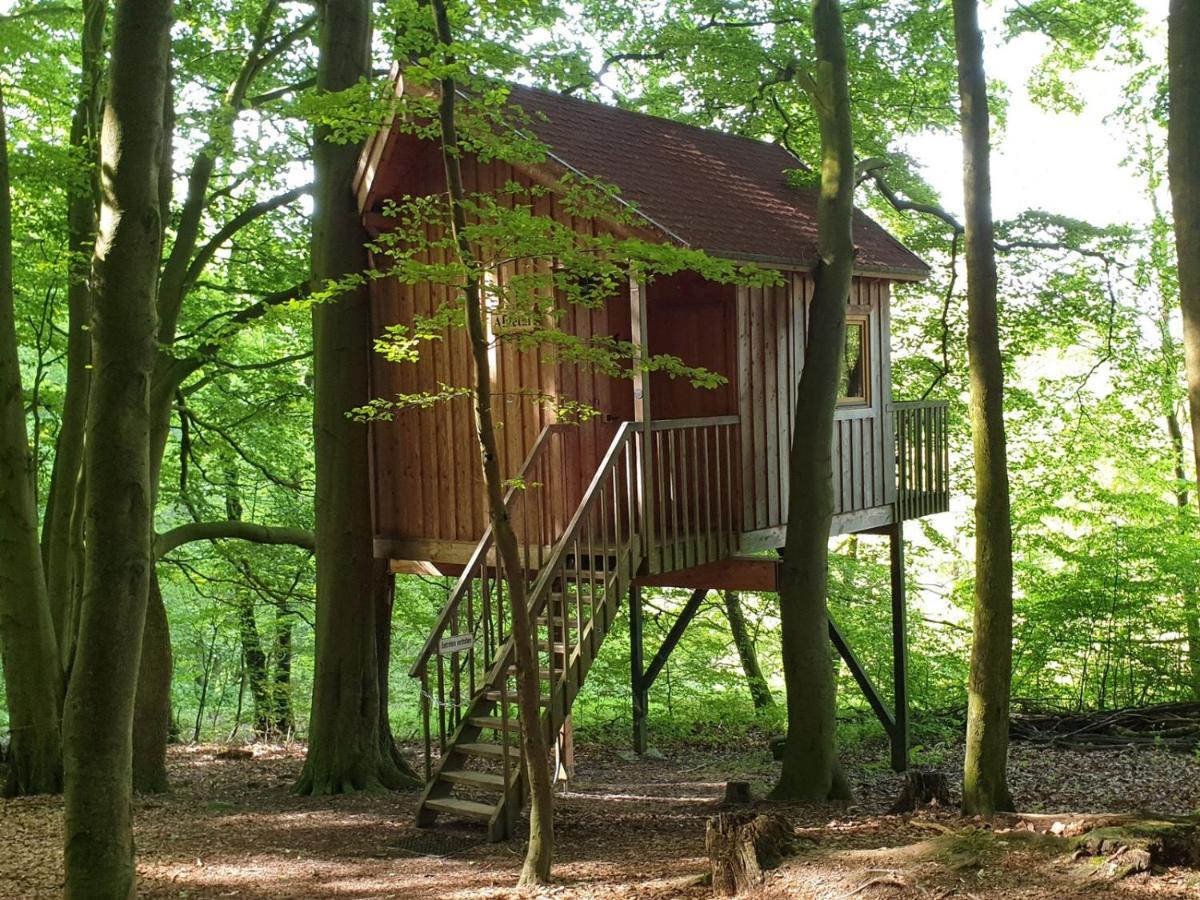 Baumhaushotel Solling Uslar Esterno foto