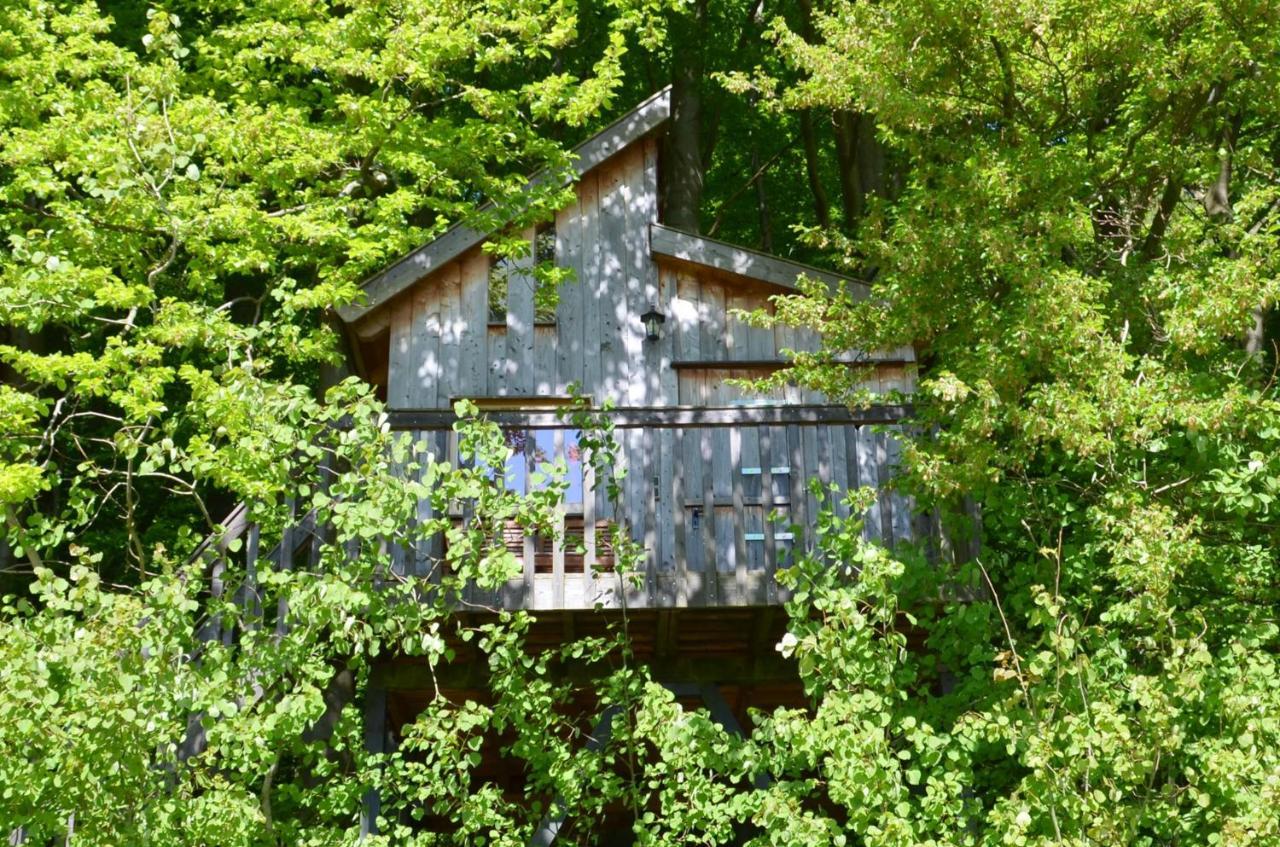 Baumhaushotel Solling Uslar Esterno foto