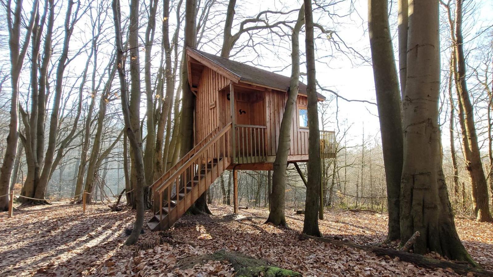 Baumhaushotel Solling Uslar Esterno foto